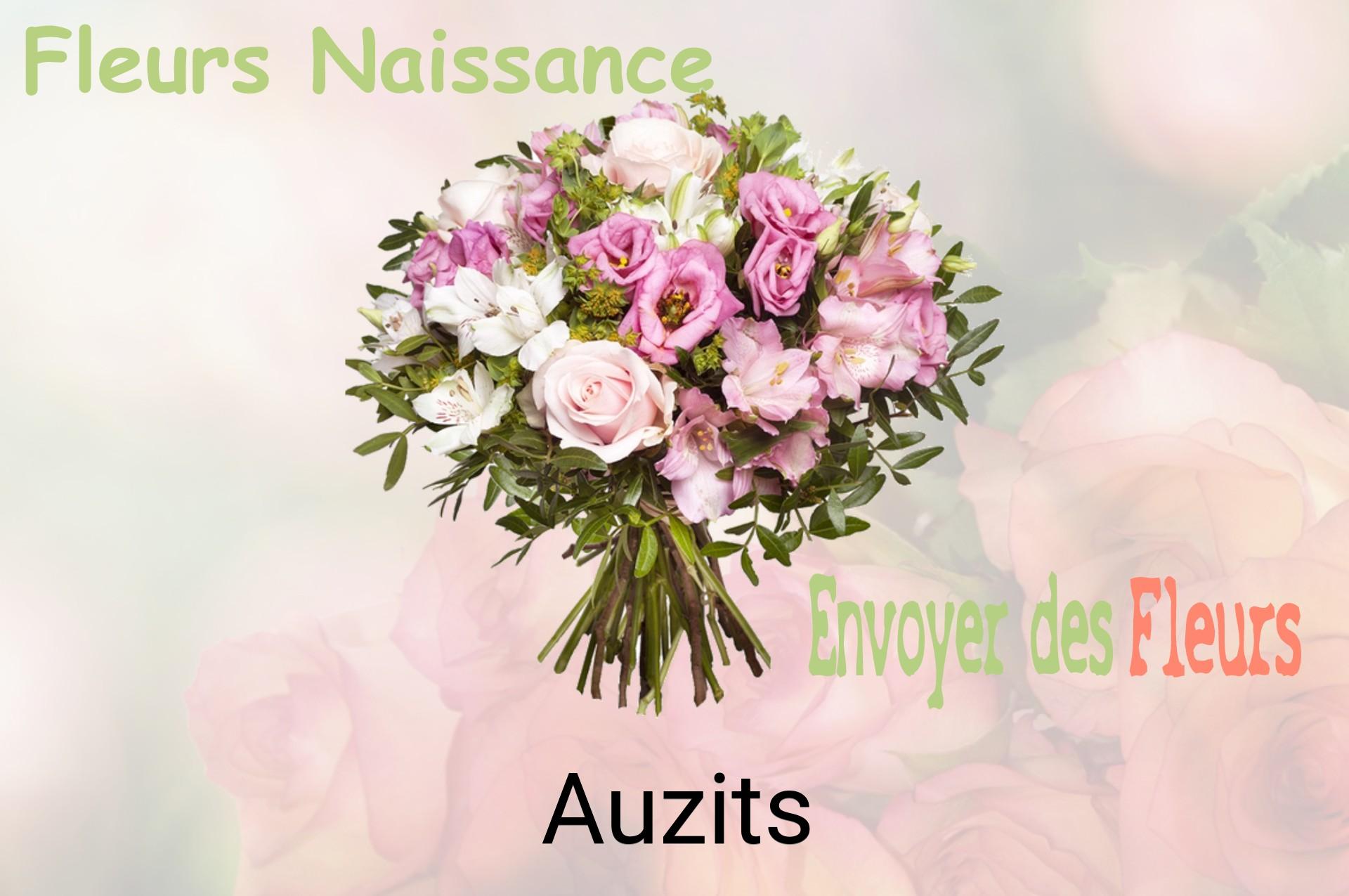 Bouquet de fleurs de naissance livré à Auzits