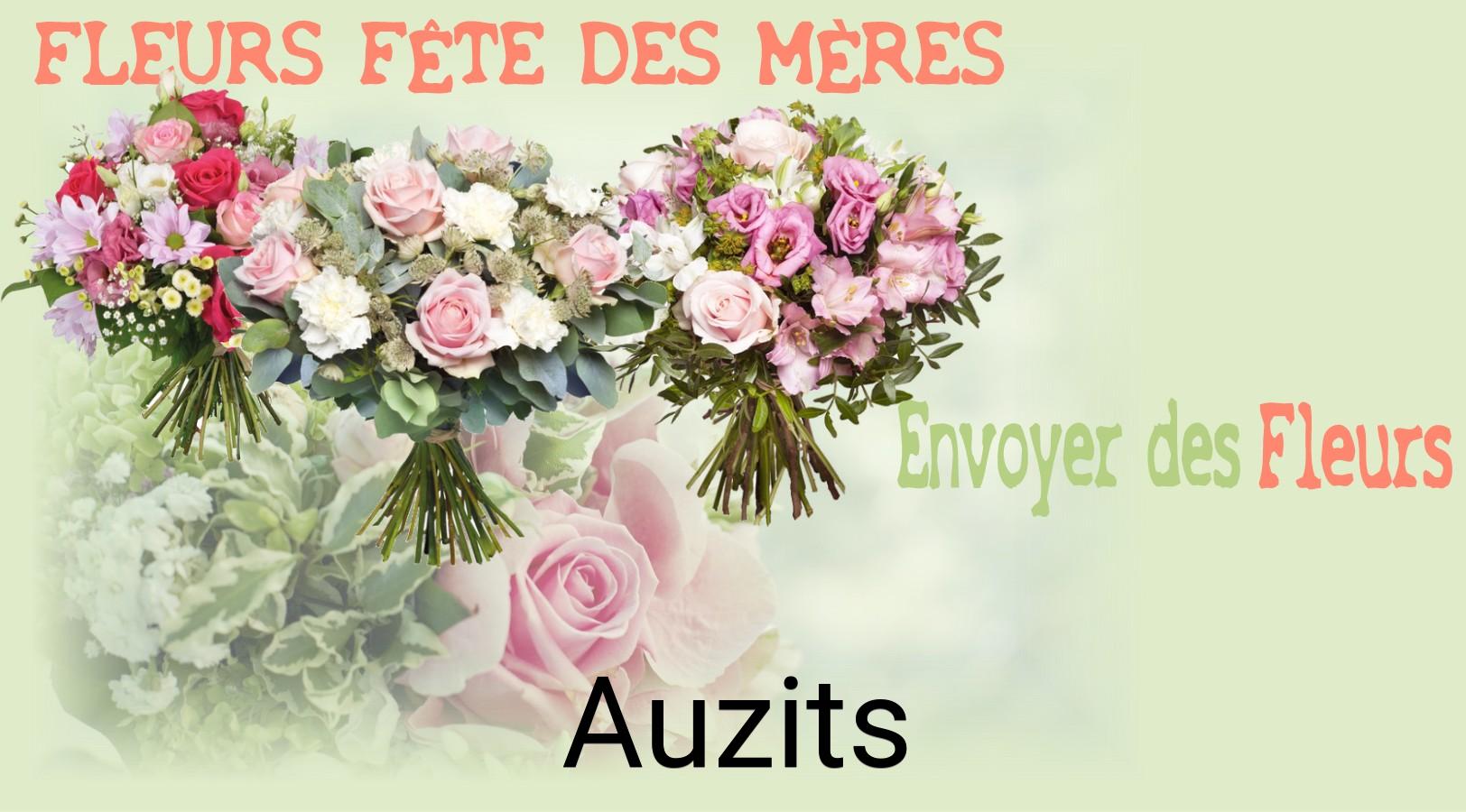 Bouquet de Fête des Mères livré à Auzits